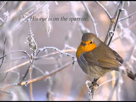 His Eye is on the Sparrow (Piano & Instrumental w/lyrics)