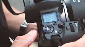 8.2K views · 19 reactions | Vor zwei Wochen hatten wir die Chance,...