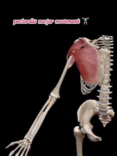 #funny #explore how to study faster than anyone.know motivation💪🏼 #cramming #commonerrors#essaytyper