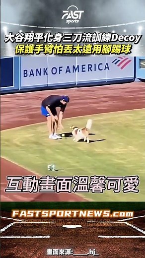 大谷翔平化身三刀流訓練Decoy保護手臂怕丟太遠竟是用踢球的 #大谷翔平 #Decoy #ohtani #道奇 #mlb #大聯盟 #三刀流 #運動 #娛樂 #時事 #興趣