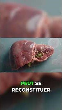 The Hidden Power of Human Regeneration