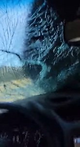 1.5M views · 28K reactions | Just trying to get a picture of it grazing. Never expected it to charge! The car barely held up. What would you do?! #BisonCharge #Yellowstone #CarAttack | Wild Animal Encounters | Facebook