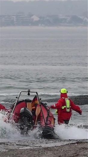 Autopsy of whale Timmy: Experts search for the cause of death