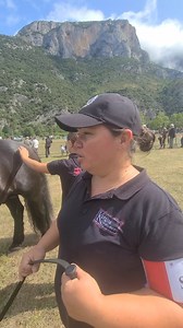 ARIEGE 🔴 la 91 e édition du cheval de Merens a accueilli une soixantaine de passionnés et d éleveurs de toute la France. La Bretagne était fièrement représentée à Bouan aujourd'hui | Pyrénées FM