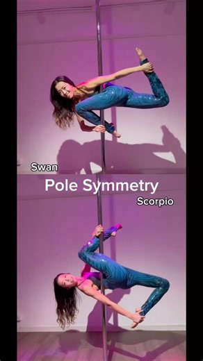 POLE DANCE SYMMETRY - Swan x Scorpio