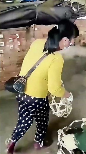 Woman uses net to catch pig, funny & exciting scene!