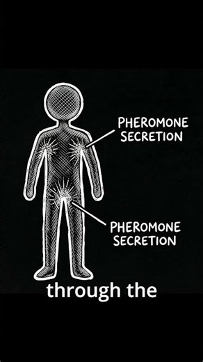 3 real pheromones you can control.