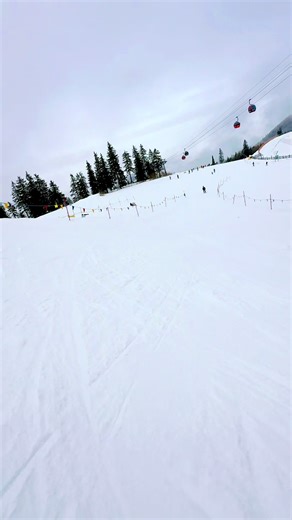 #snowboard #brasov #postavarul TikTok