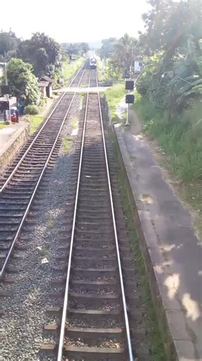 pabba...official on TikTok