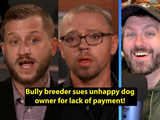 Bully breeder sues unhappy dog owner for lack of payment | Jason J