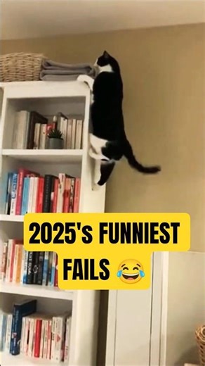 Funniest Cat Fails Compilation 2025 😂 Try Not to Laugh at These Epic Pet Fails! | Animal Bloopers.
