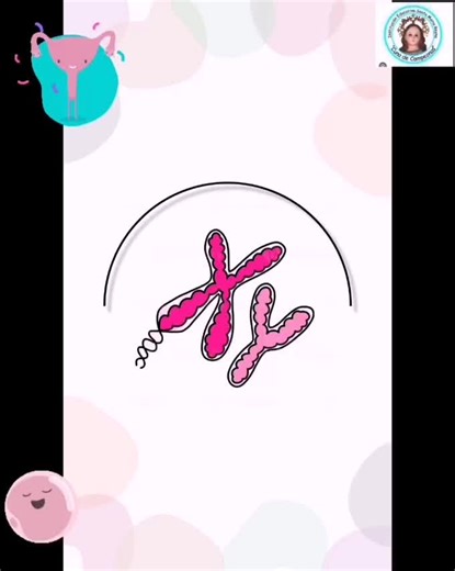 Gamétogenesis: El proceso biológico esencial