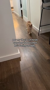 Hurry mums I’m feeling snuggly | SnugglyBo_