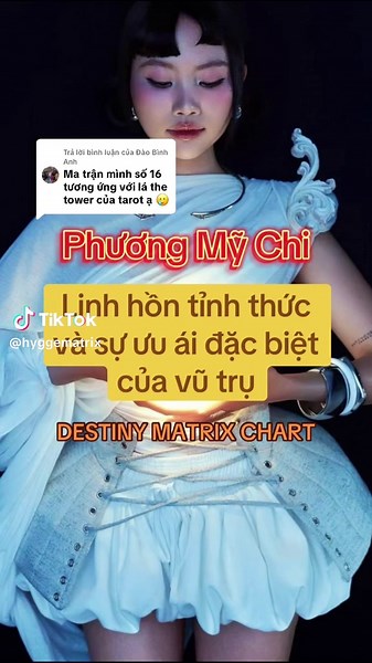 Destiny Matrix Chart và Ý Nghĩa Con Số