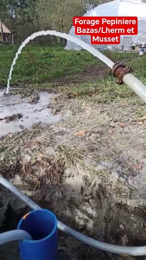 Forage pour pépinière secteur Bazas. Prospection Olivier le sourcier et superbe réalisation For Eco