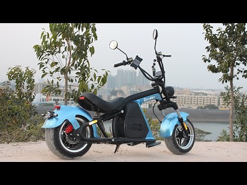 Citycoco Electric Scooter City coco Chopper Rooder Runner Review European Warehouse Escooter Price