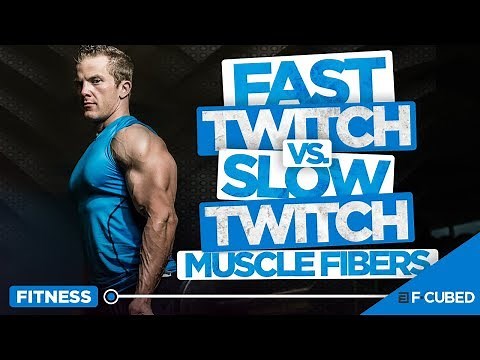 Fast Twitch vs Slow Twitch Muscle Fibers (Muscle Fibers Explained)