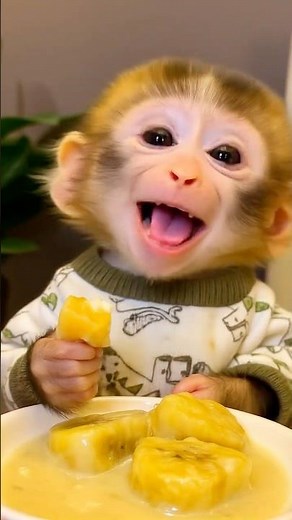Baby Monkey Sings After Tasting Sweet Banana! 🍌🎶🤣