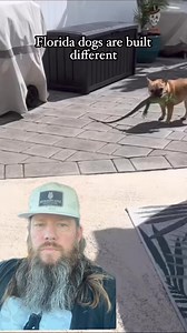 32K views · 492 reactions | #hilarious #funnyreels #crazystory #amazing #funny #crazy | Apex Predator Outfitters | Facebook