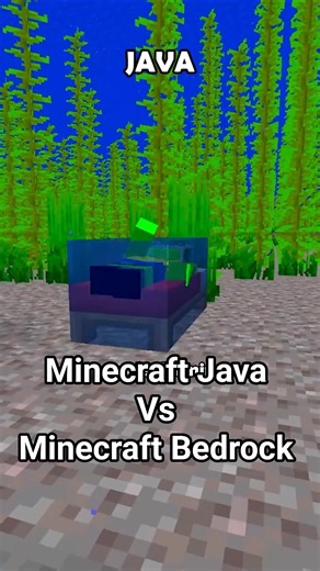 Minecraft Java vs Bedrock Pt.9
