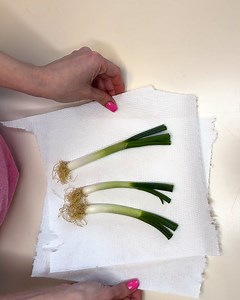 Fresh Onions | Foodie's Time