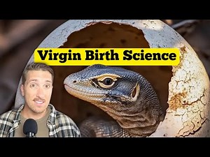 The Animals That Can Have Virgin Births