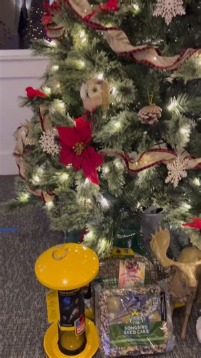 Red Ridge Farm’s Woodland Christmas Tree at The Sea Festival of Trees. 🦉🎄🪺🎄🦌🎄🫎 Sea Festival of Trees #woodlandchristmas | The Meadow at Red Ridge Farm