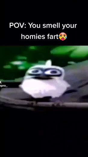 #farting #homiesfart