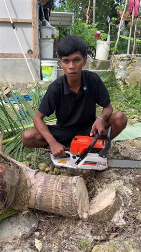 Understanding the Use of 12-Inch Chain Saws