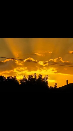 Rosanna Vanella on Reels