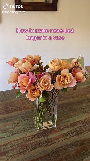 Tips to Make Roses Last Longer in a Vase