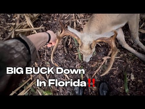 Florida Deer Hunting 2023 BIG BUCK DOWN!!!