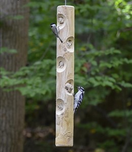 Kettle Moraine Large Cedar Log Suet Plug Woodpecker Feeder - Etsy Canada