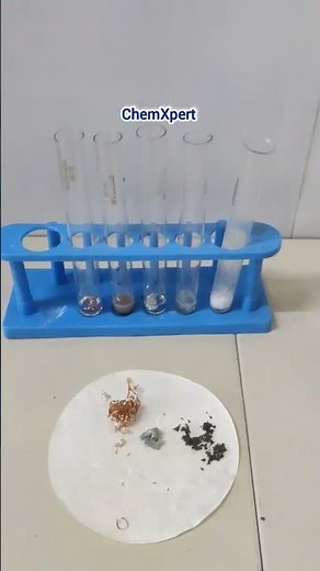 Activity 3.11 Reaction Of Different Metals with Acid | Class 10 Science