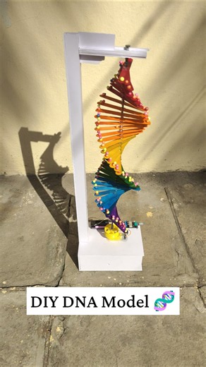 DIY DNA Model 🧬 | School Science Project | Working 3D DNA Model