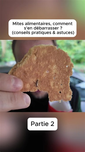 Mites alimentaires, comment s'en débarrasser (conseils pratiques & astuces) #mitesAlimentaires#invasionMites
