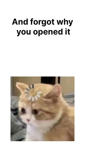 FAAAHHH!!! #meme #shorts #viral #memes #memesdaily