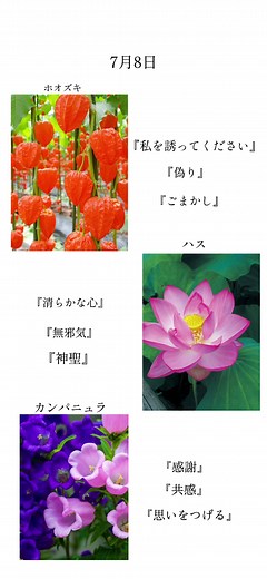 誕生花の紹介とその花言葉