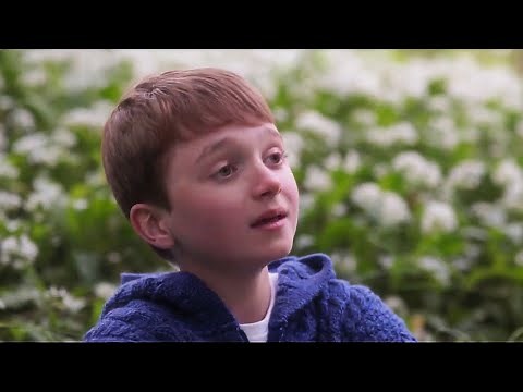 Lord of the Rings - Enya - May It Be (Beautiful Cover by Cormac Thompson)