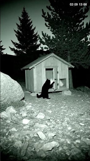 Camera view from the top corner of a small chicken coop