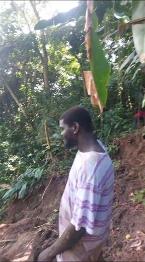 207K views · 552 reactions | The team is working diligently to...