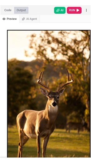 Insert an image in the HTML page