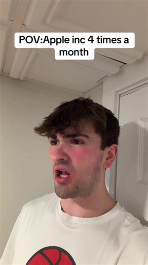 Apple Inc. Operations: A Monthly Overview