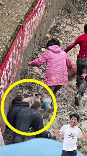 pig catching competition. #experiments #science #scienceexperiment #physics #chemistry #shorts