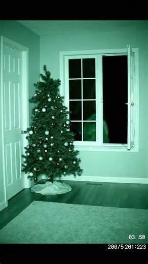 Funny Grinch Storytime for Christmas