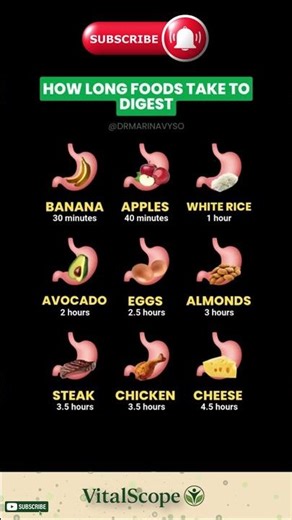 How Long Does Food Really Take to Digest?
