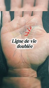 395K views · 3K reactions | Ligne de vie doublée : guidé(e), protégé(e), jamais seul(e) #chiromancie001 #double #guide | Chiromancie001 | Facebook