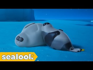 Emotional Support SealㅣSEALOOK