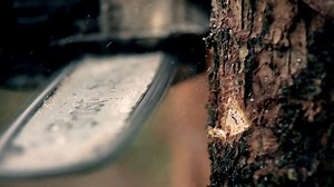 Check out the latest TKF video. It shows the journey from novice operator through to sectional dismantling... | TKF Training