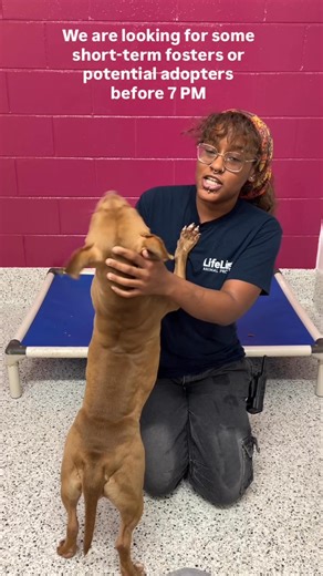 19K views · 799 reactions | For the first time this year, Fulton...